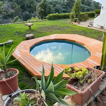 Camilla * צ'פאלו