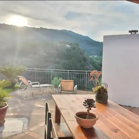 Camilla * צ'פאלו