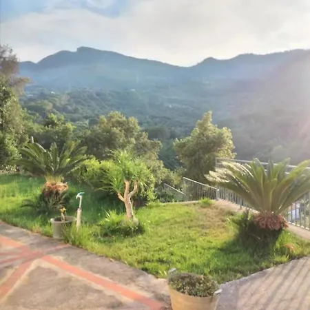 Camilla * צ'פאלו